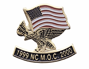 EAGLE AND FLAG PIN