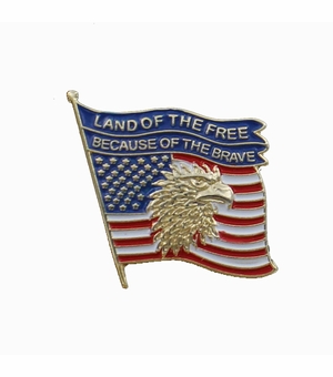 EAGLE HEAD AMERICAN FLAG PIN