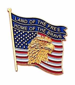 EAGLE ON AMERICAN FLAG PIN
