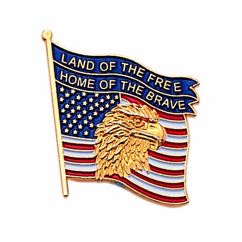 EAGLE ON AMERICAN FLAG PIN
