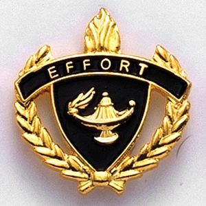 1 INCH WREATH WITH LAMP OF LEARNING EFFORT LAPEL PIN