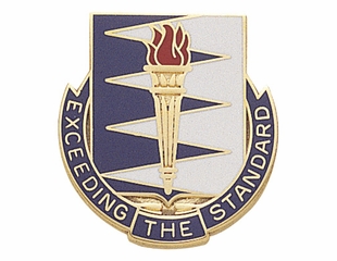 EXCEEDING THE STANDARD INSIGNIA
