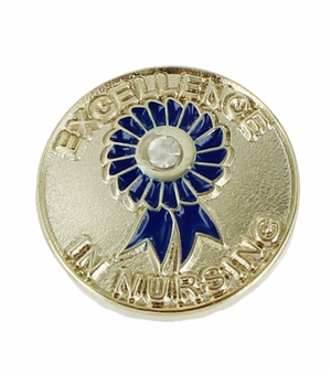 EXCELLENCE IN NURSING LAPEL PIN