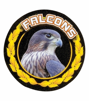 2 Inch in Diameter Round Detailed 'Falcons' Sports Insert in Gold with Mylar Detailing