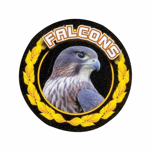 2 Inch in Diameter Round Detailed 'Falcons' Sports Insert in Gold with Mylar Detailing