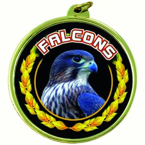 2-1/4 Inch in Diameter Round Detailed 'Falcons' Sports Medal in Gold with Mylar Detailing and Customizable Back
