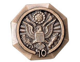 FEDERAL GOVERNMENT YEARS OF SERVICE PIN