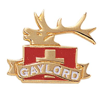 Custom Landing Page Banner