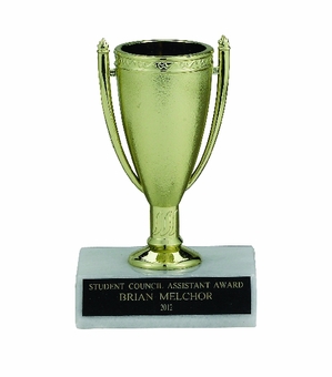 GOLD CUP TROPHY, 4-1/2 INCH, WHITE PLASTIC BASE