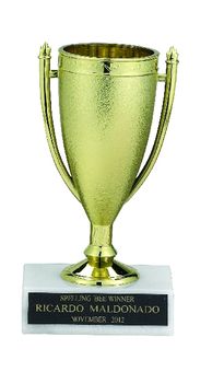 GOLD CUP TROPHY, 5-1/2 INCH, WHITE PLASTIC BASE