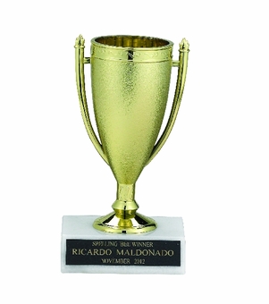 GOLD CUP TROPHY, 5-1/2 INCH, WHITE PLASTIC BASE