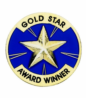 GOLD STAR AWARD WINNER PIN