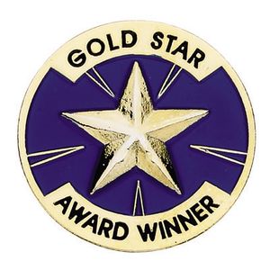 GOLD STAR AWARD WINNER PIN