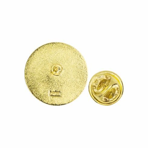 GOLD STAR AWARD WINNER PIN