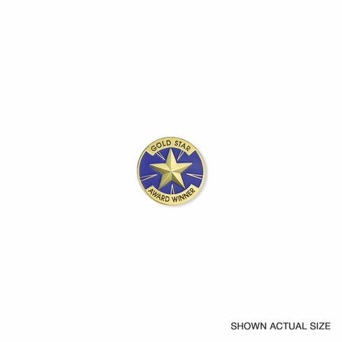 GOLD STAR AWARD WINNER PIN