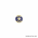 GOLD STAR AWARD WINNER PIN