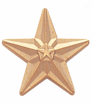 3/4 Inch Polished Die-Struck Gold Star Pin with Sandblasted Finish