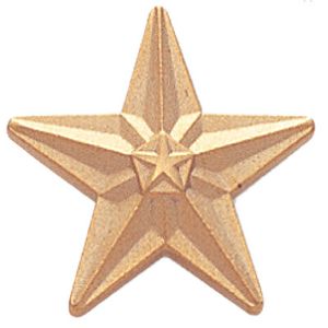 GOLD STAR PIN 3/4 INCH