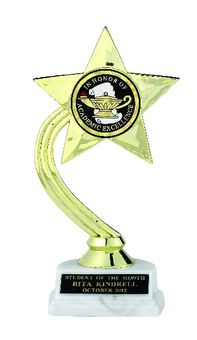 GOLD STAR TROPHY, 8 INCH, WHITE MARBLE BASE, 2 INCH INSERT