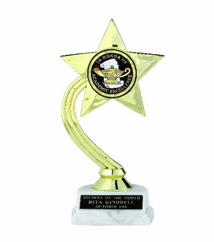 GOLD STAR TROPHY, 8 INCH, WHITE MARBLE BASE, 2 INCH INSERT