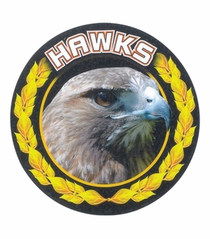 2 Inch in Diameter Round Gold 'Hawks' Sports Insert with Mylar Detailing