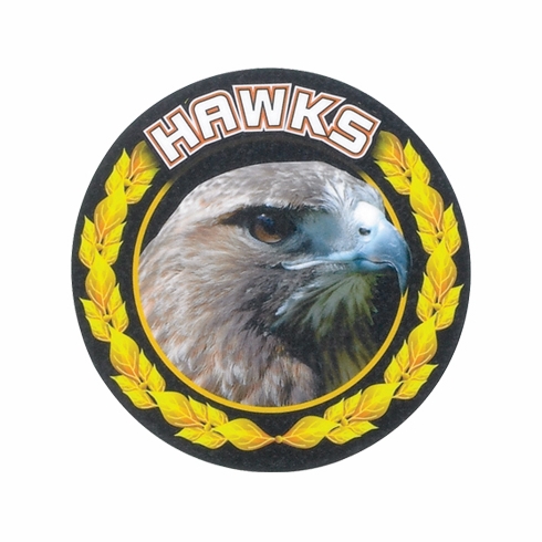 2 Inch in Diameter Round Gold 'Hawks' Sports Insert with Mylar Detailing