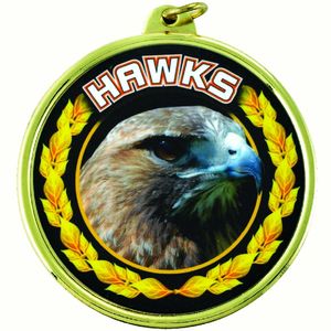 2-1/4 Inch in Diameter Round Gold 'Hawks' Sports Medal with Mylar Detailing and Customizable Back