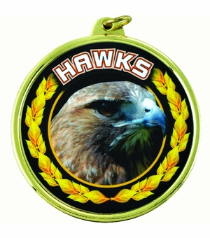 2-1/4 Inch in Diameter Round Gold 'Hawks' Sports Medal with Mylar Detailing and Customizable Back