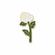 LONG STEM WHITE ROSE PIN