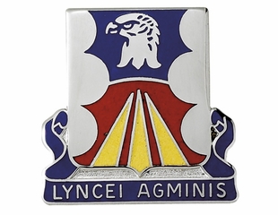 LYNCEI AGMINIS INSIGNIA