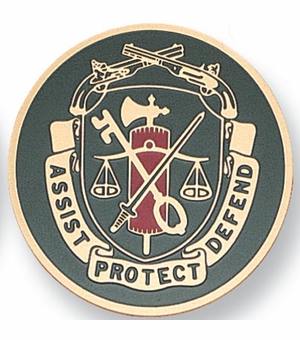 2 INCH M.P. REGIMENTAL CREST MEDALLION INSERT