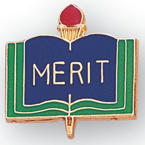 MERIT PIN ACADEMIC ENAMELED