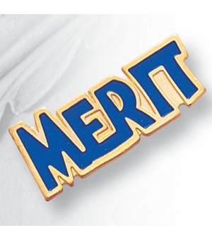3/8 Inch in Height Enameled Merit Pin in Gold