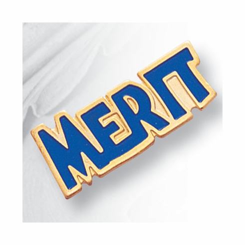 MERIT PIN ENAMELED