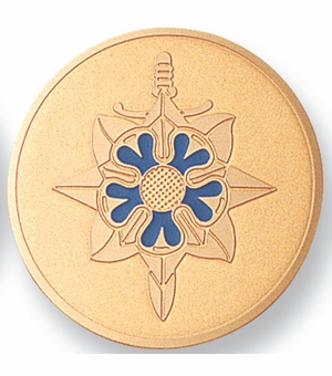 2 INCH MILITARY INTELLIGENCE MEDALLION INSERT