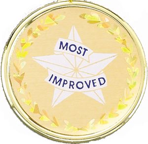 2 Inch in Diameter Round Most Improved Insert with Mylar Detailing