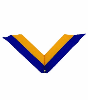 NECK RIBBON, BLUE AND GOLD