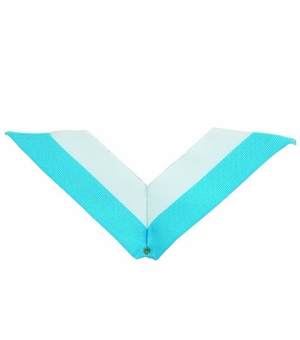NECK RIBBON, LIGHT BLUE AND WHITE