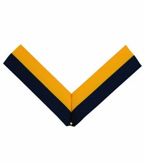 NECK RIBBON, NAVY BLUE AND GOLD