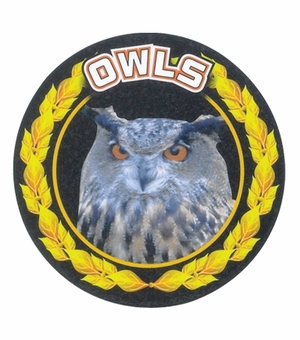2 Inch in Diameter Round 'Owls' Themed Gold and Mylar Sports Insert
