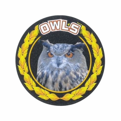 2 Inch in Diameter Round 'Owls' Themed Gold and Mylar Sports Insert