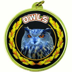 2-1/4 Inch in Diameter Round 'Owls' Themed Gold and Mylar Sports Medal with Customizable Back