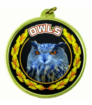 2-1/4 Inch in Diameter Round 'Owls' Themed Gold and Mylar Sports Medal with Customizable Back