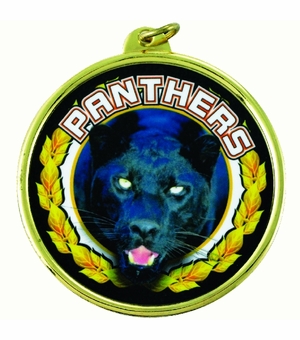 2-1/4 Inch in Diameter Round Gold 'Panthers' Medal with Mylar Detailing and Customizable Back