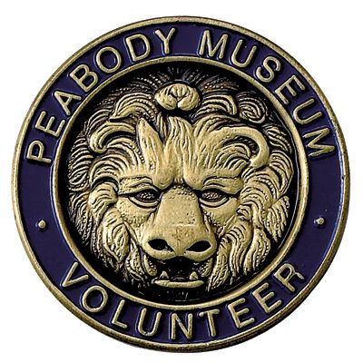 Custom Landing Page Banner