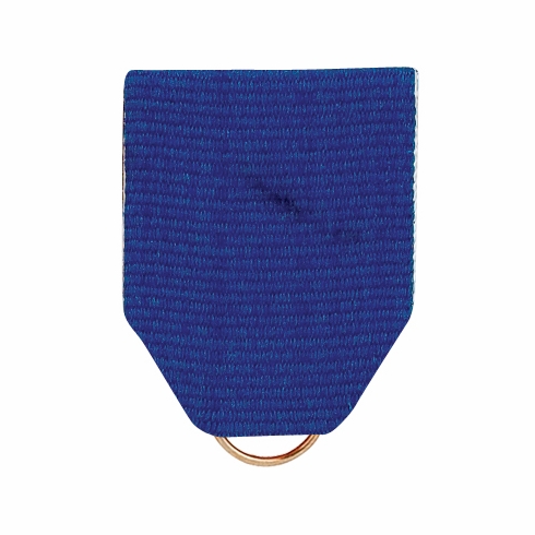 PIN BACK RIBBON BLUE