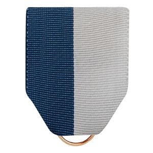 PIN BACK RIBBON BLUE AND GRAY