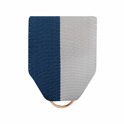 PIN BACK RIBBON BLUE AND GRAY