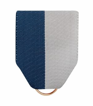 PIN BACK RIBBON BLUE AND GRAY
