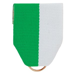 PIN BACK RIBBON GREEN & WHITE